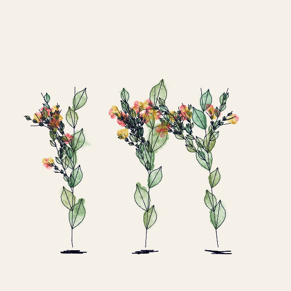 Ink Botanicals