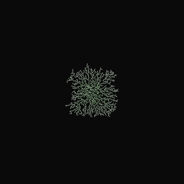 Lichen